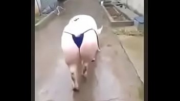 Peppa pig sexy